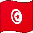 Tunisia icon